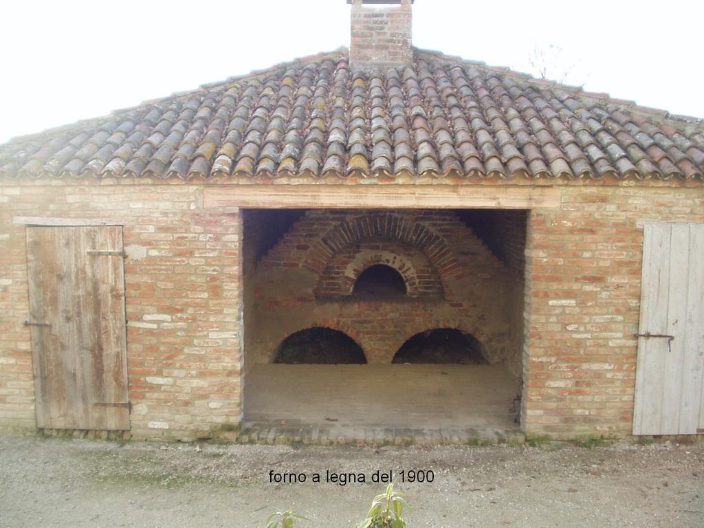 Agriturismo Principe Pio Villa Crespino Bagian luar foto